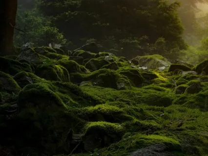 Healing Bedtime Story For Adults