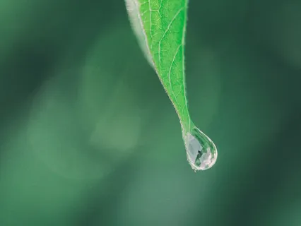 Healing Rainfall With Tibetan Bells