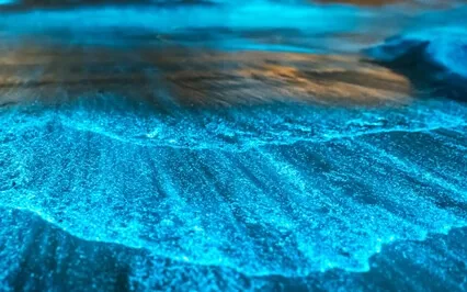 Healing Bioluminescence Meditation