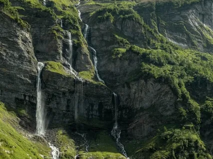 Healing Body And Emotions