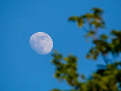 Healing Body, Mind, Spirit Before Sleep With Ease