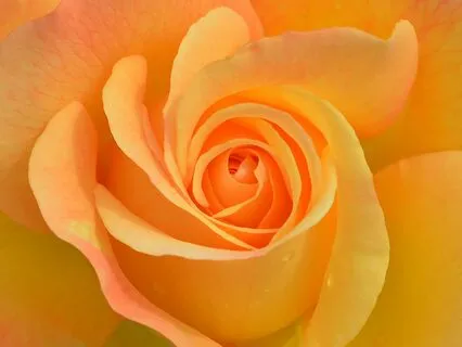 Healing Body Scan Meditation