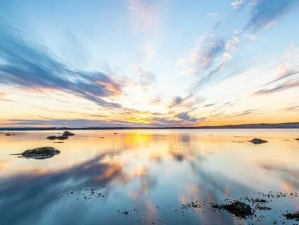 Healing Body Scan (Short Version)