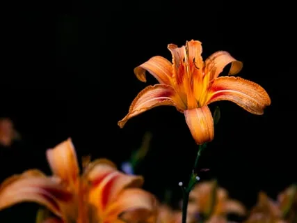 Healing Body To Open Upper Chakras