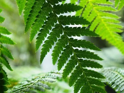 Breathing Exercise For Rest & Relaxation