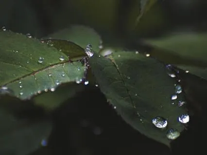 Brown Noise & Nature Sounds for Focusing [8 Hours]