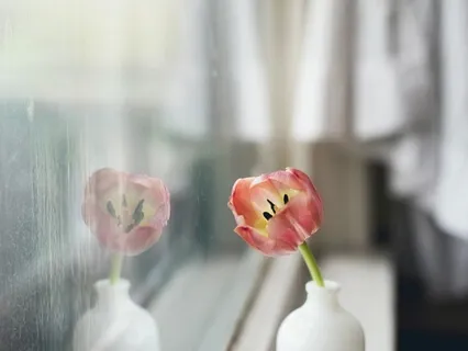 Healing, Calm, Meditative Piano