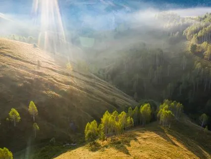 Healing Calm: Music For Anxiety Relief