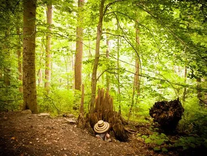 Healing Calm: Restorative Peace