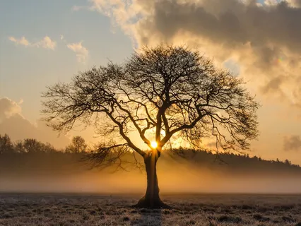 Healing Chant For Success And Prosperity - Noble Prayer