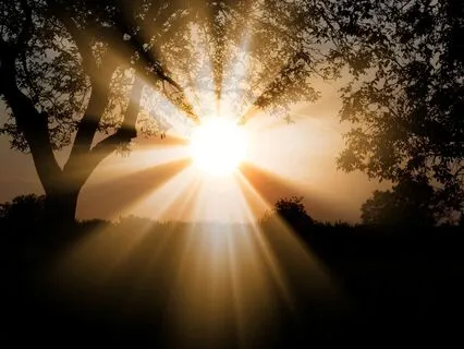 Healing Code – Unlock the Power of Deep Regeneration