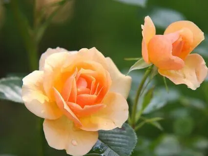 Healing Comes In Waves