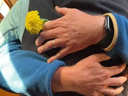 Healing Compassion And Loving-Kindness