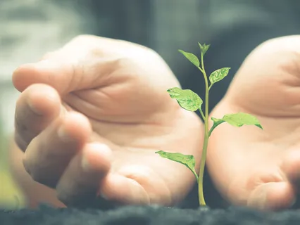 Healing Conflicting Beliefs Around Abundance