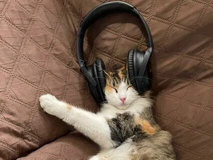 Super Healing Nap With Cat Purring + 2Hz Delta Binaural Beat