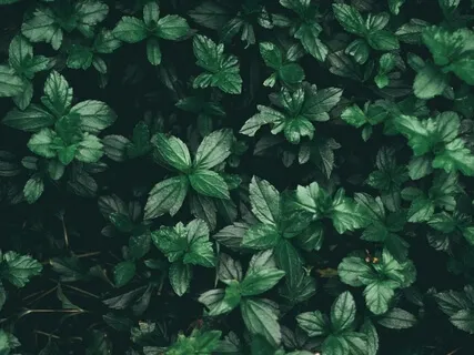 Healing Deep Sleep And Relaxing Mind