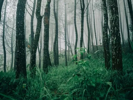 Healing Deep Sleep For Vital Energy 