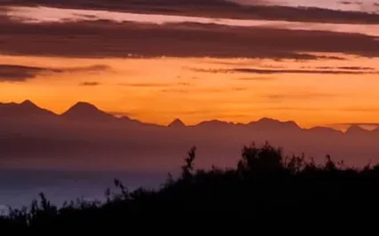 Healing Despair & Cords Of Pain