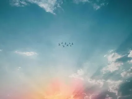 Healing Divine Essence