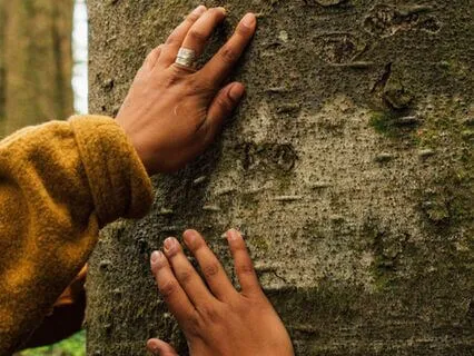 Healing Division | Coming Together In Difficult Times