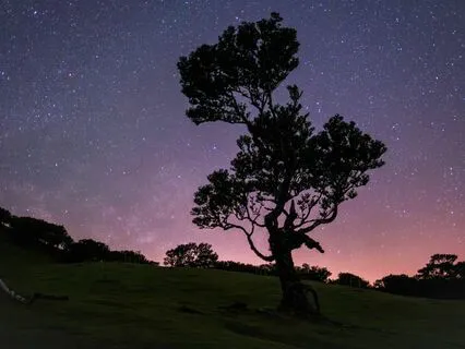 Healing Dreams: Music for Restful Nights