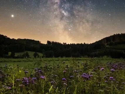 Sleep Meditation: Surrendering To Deep Sleep