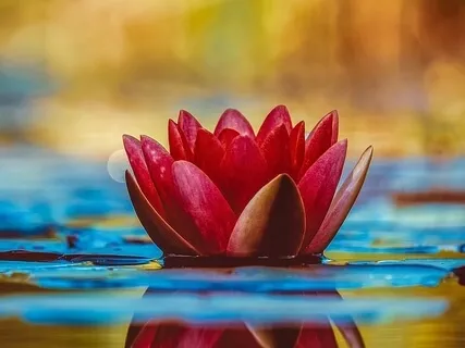 Healing Emotional Pain (Short Version)