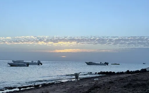 Healing Emotional Release & Inner Child Meditation