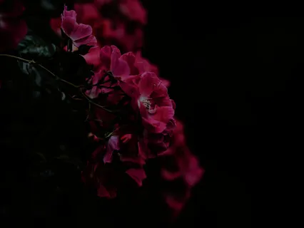 Healing Energy — Body Scan Meditation