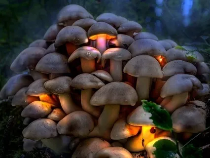 Healing Energy Cycles - Creating Paths To Your Dreams