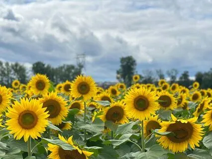 Healing Energy For Our Feet