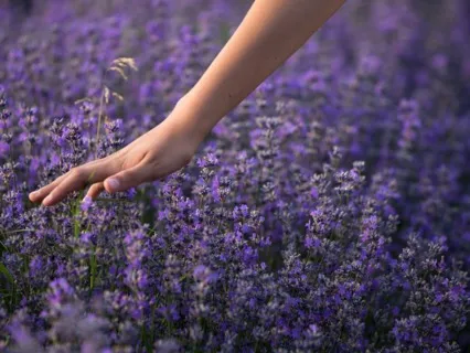 Healing Energy To Raise Your Vibration & Feel The Bliss