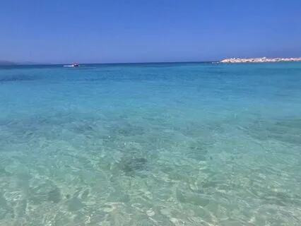 Healing Feelings of Rejection | 639Hz Solfeggio Frequency