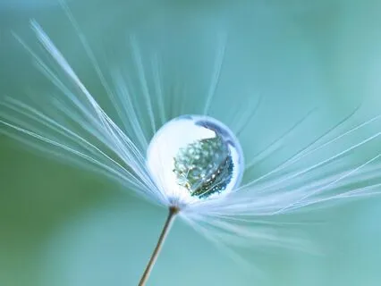 I Am Good - Support To Heal Past Betrayals