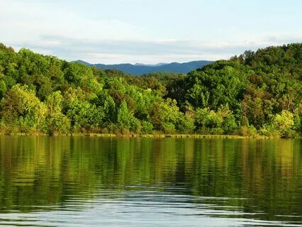 Healing For Mother Earth: Ancestral Mothers Meditation