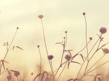 Healing For The Whole Being