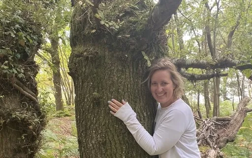 Healing Forest Meditation