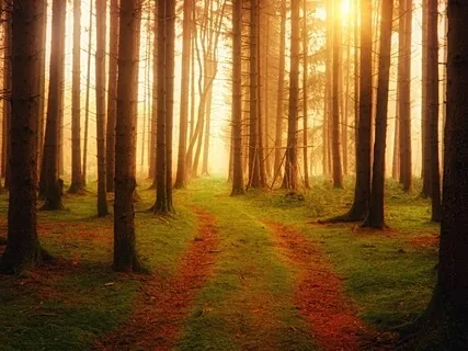 Healing Frequencies 1024Hz - Activate The Chakra System