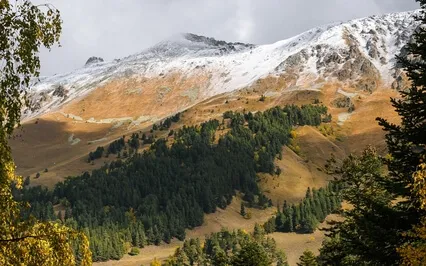 Healing Frequencies [ 1335 Hz ] Normalize Adrenal Function