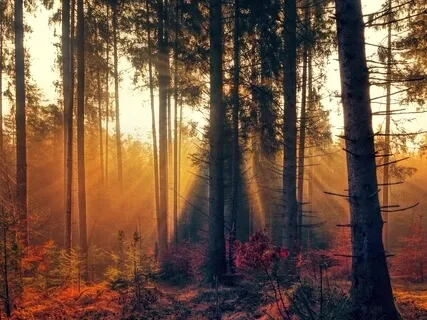 Healing Frequencies 396Hz - Dissolve Fear & Guilt - Let Go