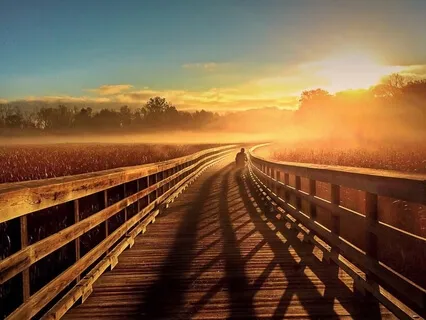 Healing Frequencies 528Hz - Positive Transformation Music