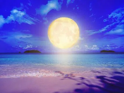 Healing Frequencies Pt 2 - Full Moon - Live Recording