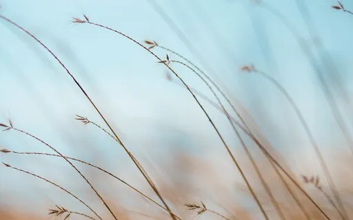 Healing From A Past Hurt: A Christian Visualization