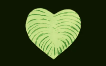 Healing From Abortion