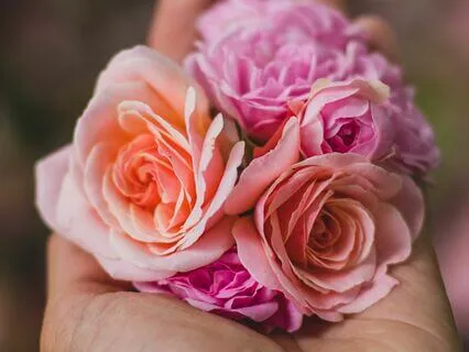 Healing From Divorce