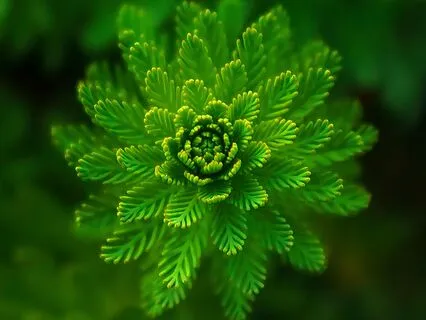 Healing From Emotional Abandonment