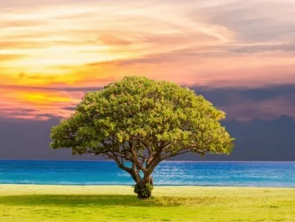 Healing From Heartbreak