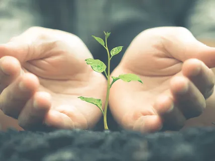 Healing From Illness