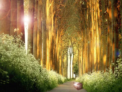 Healing From Pain Guided Practice - Archangel Raphael