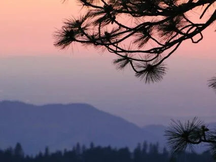 Healing From Stress: Letting Go Sleep Meditation